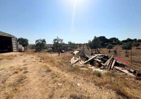 Quinta em Tremês (Santarém)