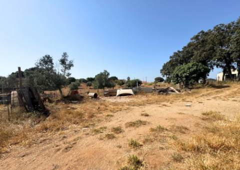 Quinta em Tremês (Santarém)