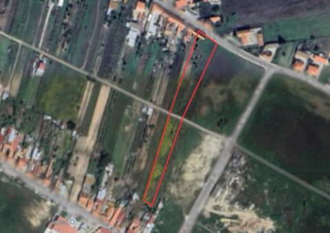 Terreno Urbano em Alpiarça