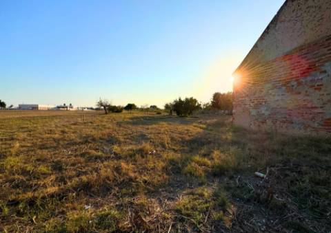 Terreno Urbano em Alpiarça