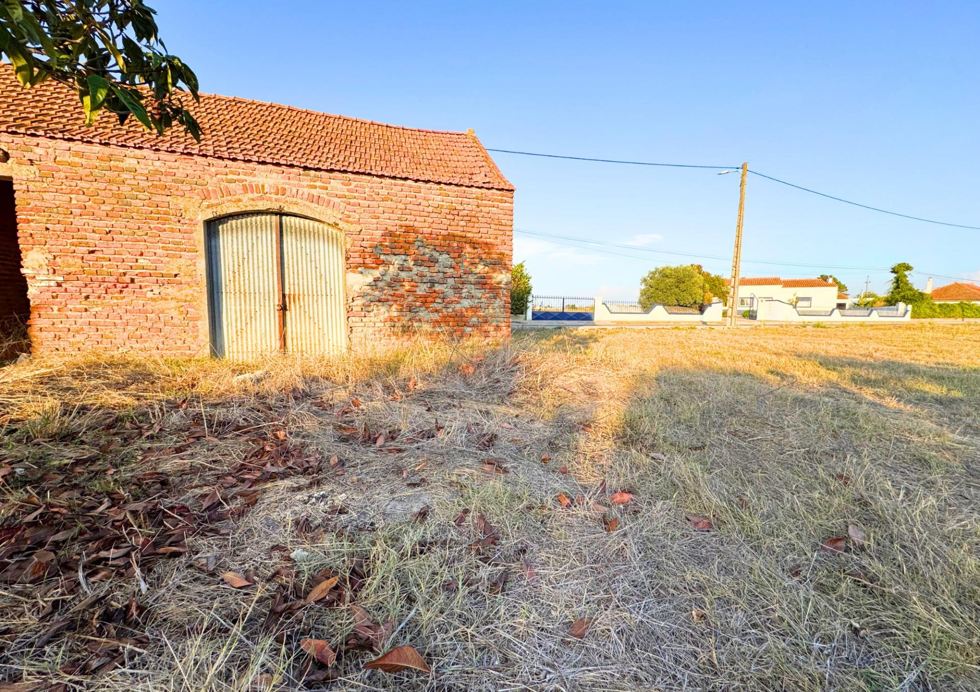Terreno Urbano em Alpiarça