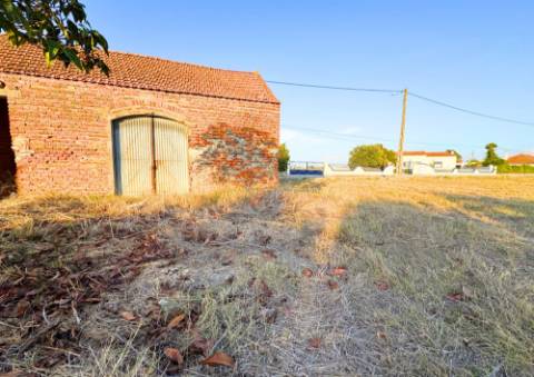 Terreno Urbano em Alpiarça