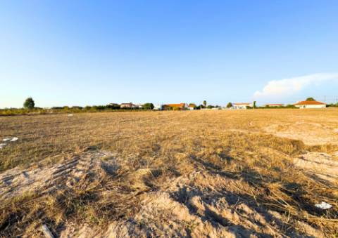 Terreno Urbano em Alpiarça
