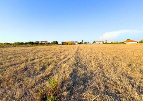 Terreno Urbano em Alpiarça