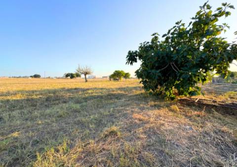 Terreno Urbano em Alpiarça