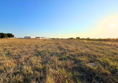 Terreno Urbano em Alpiarça