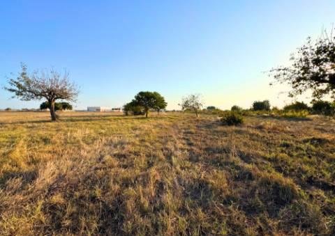 Terreno Urbano em Alpiarça