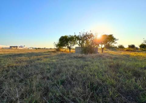 Terreno Urbano em Alpiarça