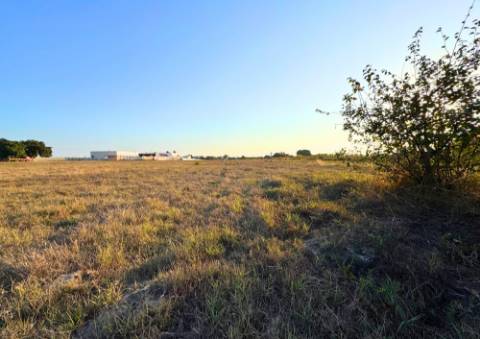 Terreno Urbano em Alpiarça
