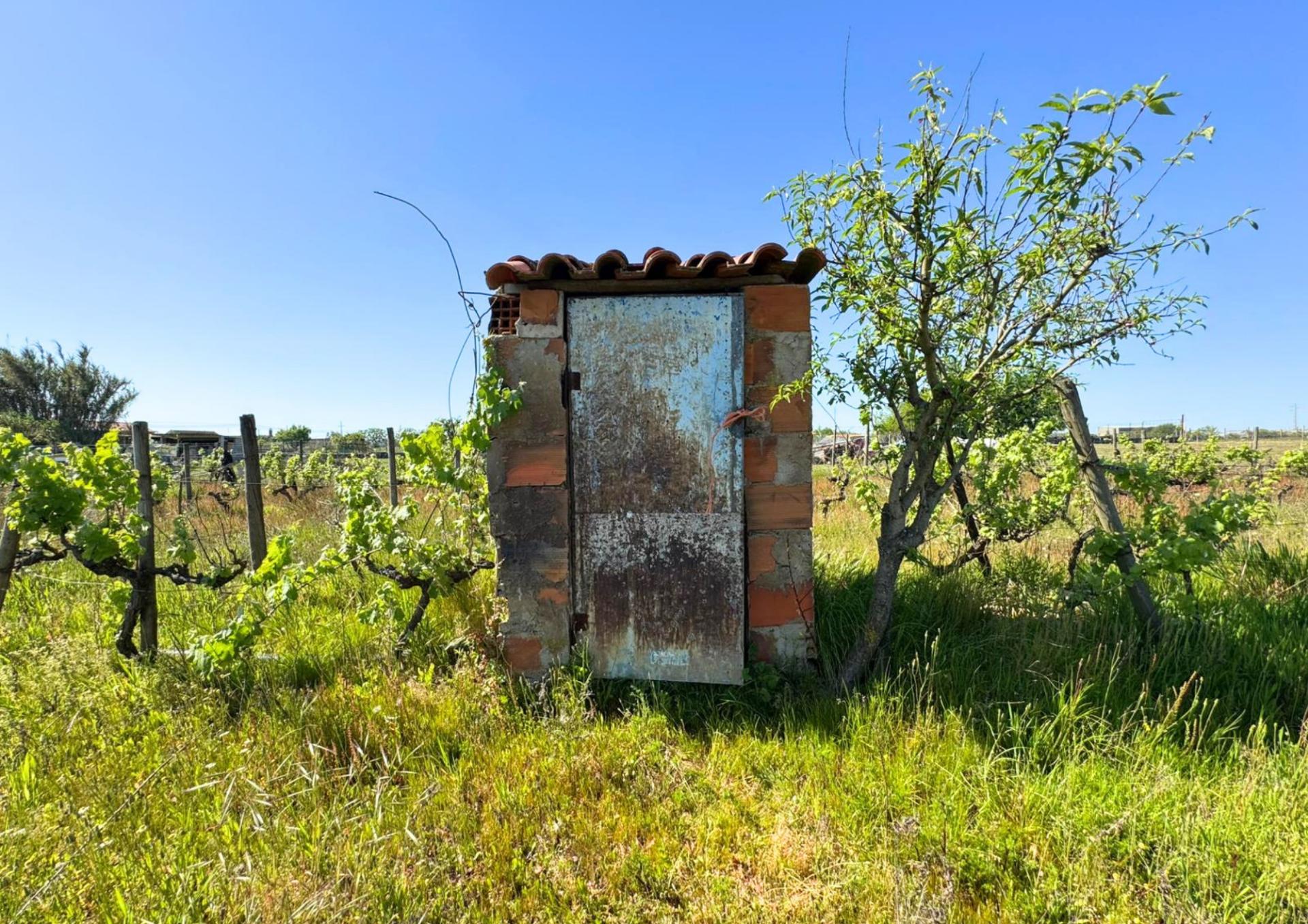 Terreno Urbano em Alpiarça (Casalinho)