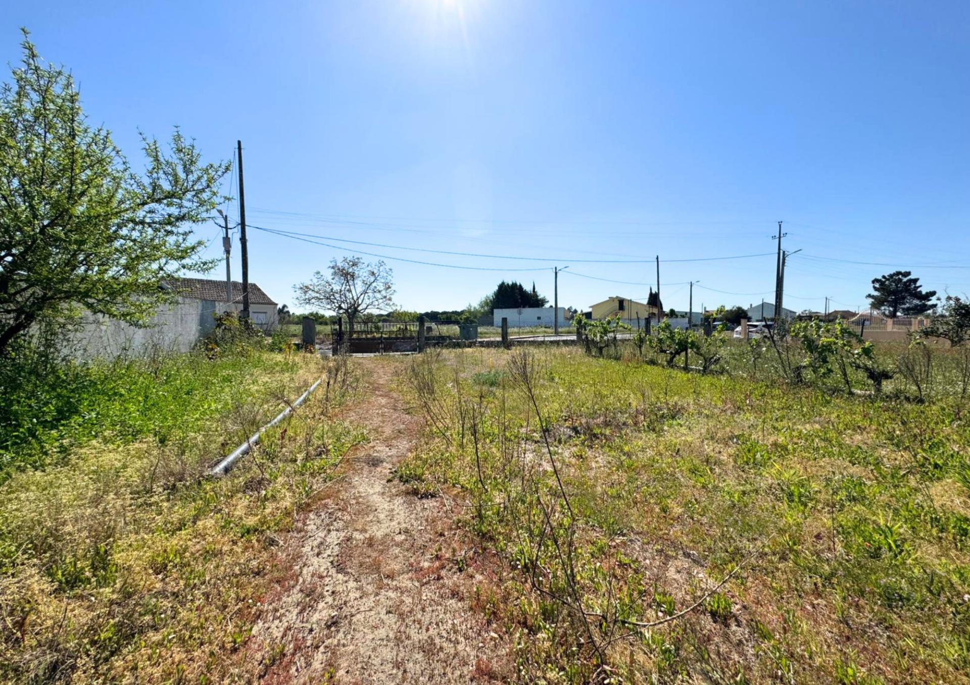 Terreno Urbano em Alpiarça (Casalinho)
