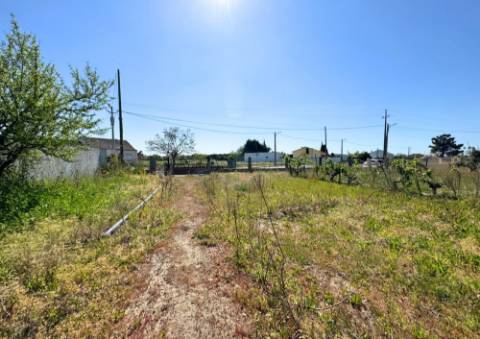 Terreno Urbano em Alpiarça (Casalinho)