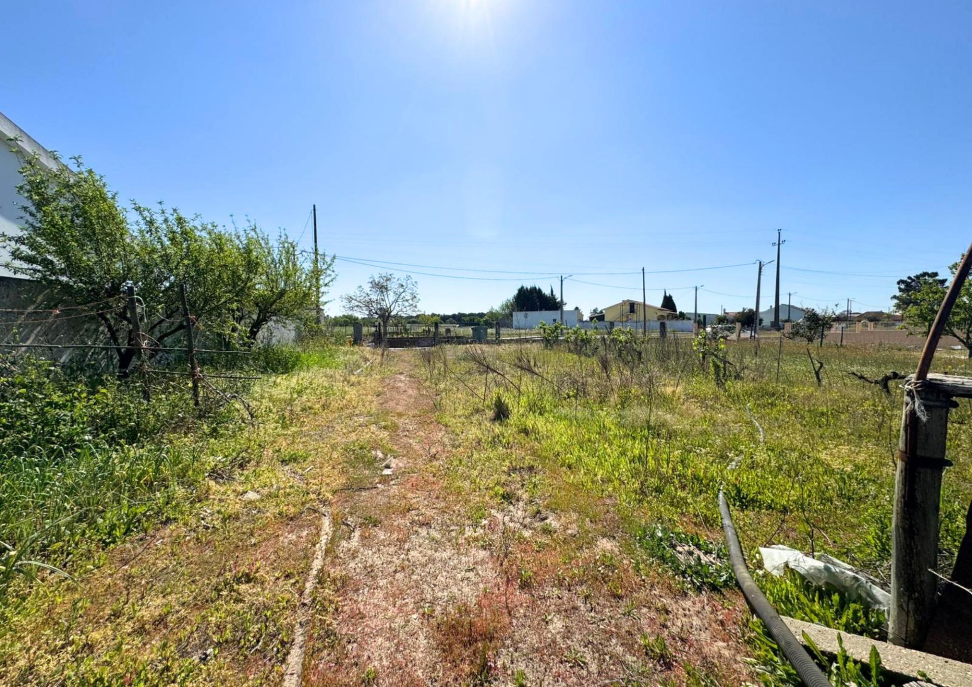 Terreno Urbano em Alpiarça (Casalinho)