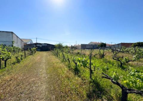 Terreno Urbano em Alpiarça (Casalinho)