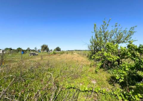 Terreno Urbano em Alpiarça (Casalinho)