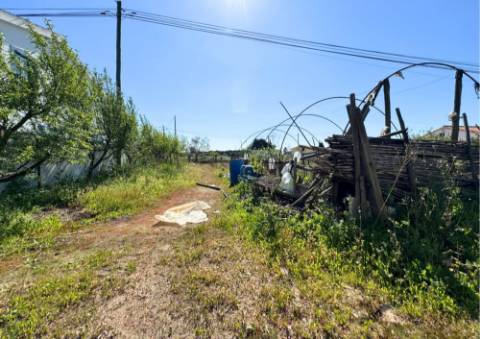 Terreno Urbano em Alpiarça (Casalinho)
