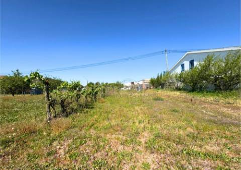 Terreno Urbano em Alpiarça (Casalinho)