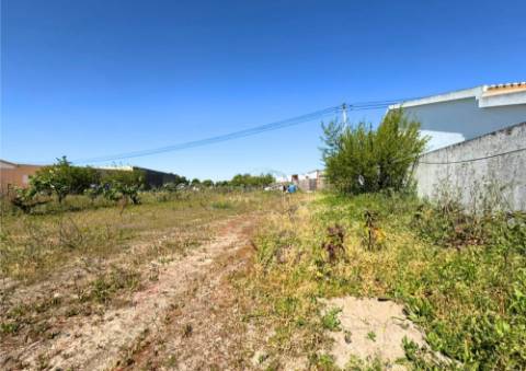 Terreno Urbano em Alpiarça (Casalinho)