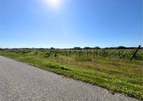 Terreno Urbano em Alpiarça (Casalinho)