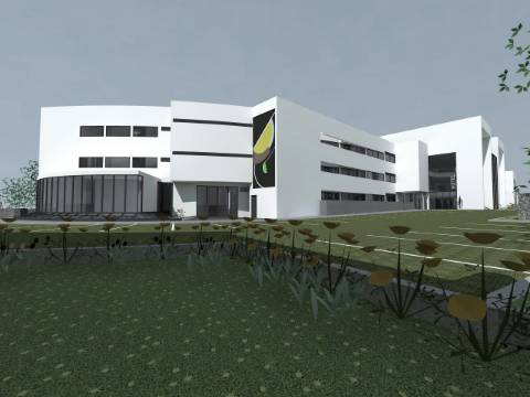 Terreno em S. Brás de Alportel