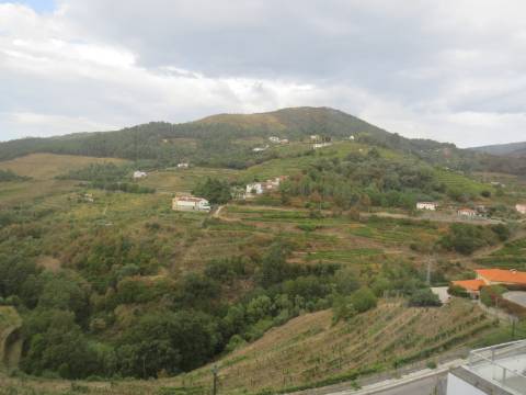 Hotel em Mesão Frio para Recuperar