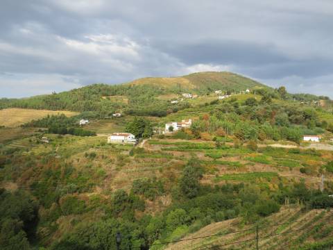 Hotel em Mesão Frio para Recuperar