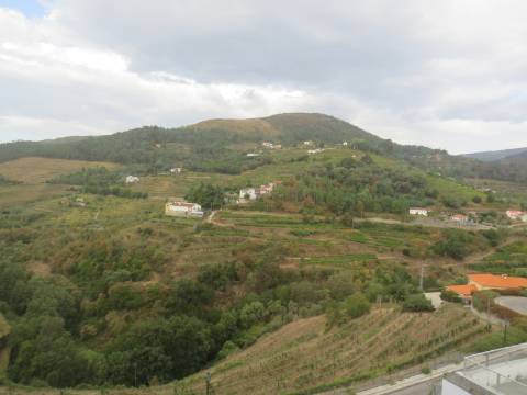 Hotel em Mesão Frio para Recuperar