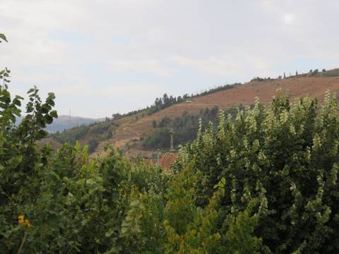 Hotel em Mesão Frio para Recuperar