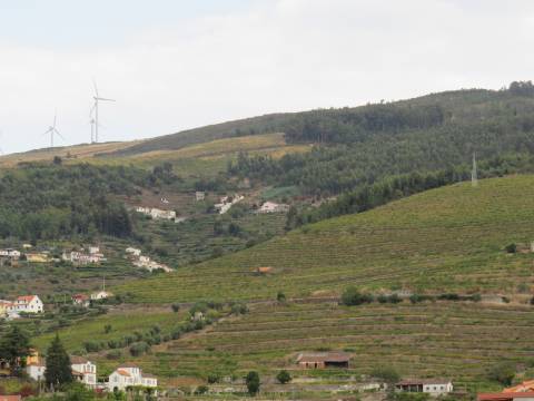 Hotel em Mesão Frio para Recuperar