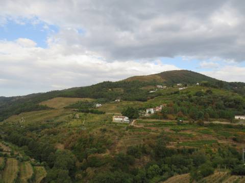 Hotel em Mesão Frio para Recuperar