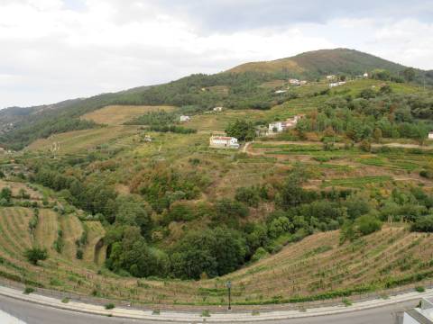 Hotel em Mesão Frio para Recuperar