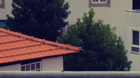 Hotel em Mesão Frio para Recuperar