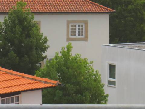 Hotel em Mesão Frio para Recuperar