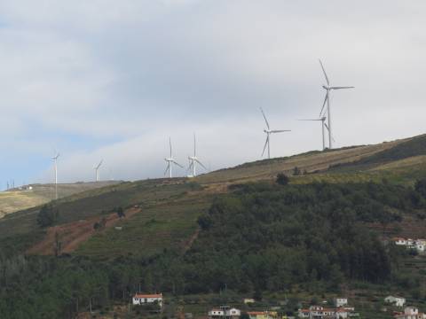 Hotel em Mesão Frio para Recuperar