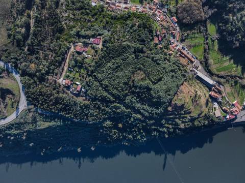 Fábrica com Terrenos em Crestuma