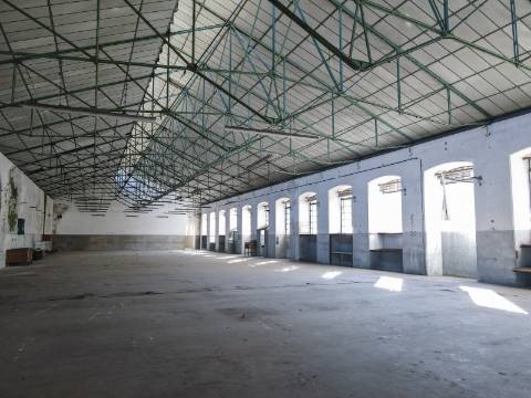 Fábrica com Terrenos em Crestuma