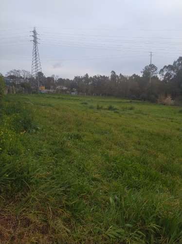 Terreno com uma área total de 5900m2 numa zona residencial em Pousadela, Nogueira da Regedoura.
