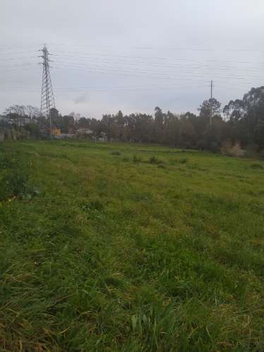 Terreno com uma área total de 5900m2 numa zona residencial em Pousadela, Nogueira da Regedoura.