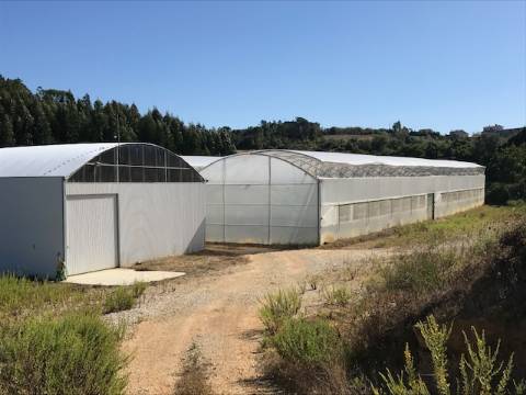 Terreno com estufa em Soure, Coimbra