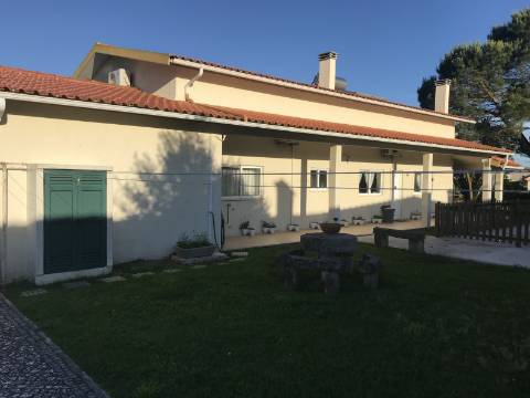 Quintinha da 'Estrada' e terreno com estufa em Soure, Coimbra