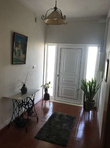 Quintinha da 'Estrada' e terreno com estufa em Soure, Coimbra