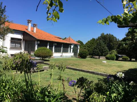 Quinta com 1ha de terreno em Vilar de Pinheiro, Vila do Conde!!