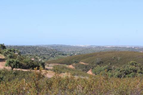 Apart Hotel Resort 4 Estrelas