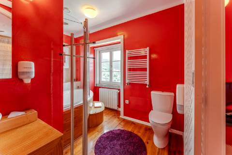 Boutique Hotel - Turismo de Habitação - no Centro do Pais.