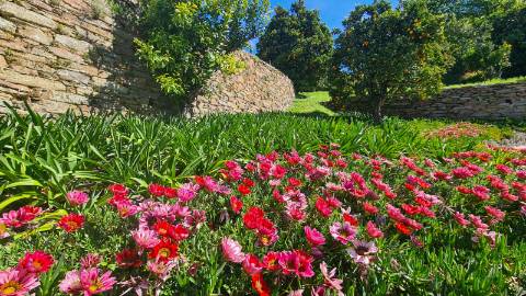 Boutique Hotel - Turismo de Habitação - no Centro do Pais.