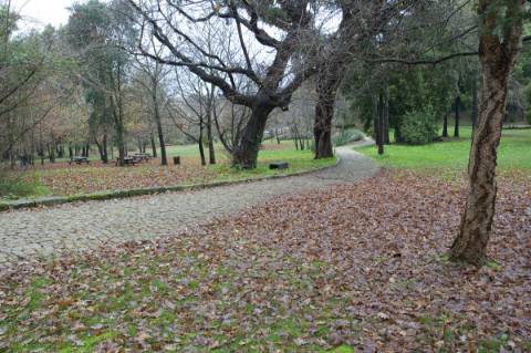 Apartamento T4 com 443m2 no centro de Vila Nova de Gaia(com Jardim e dois Terraços exclusivos do apartamento)