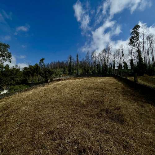 Terreno com vista privilegiada sobre o Rio Douro