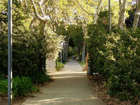 Moradia V3 Exclusiva no Centro de Loulé