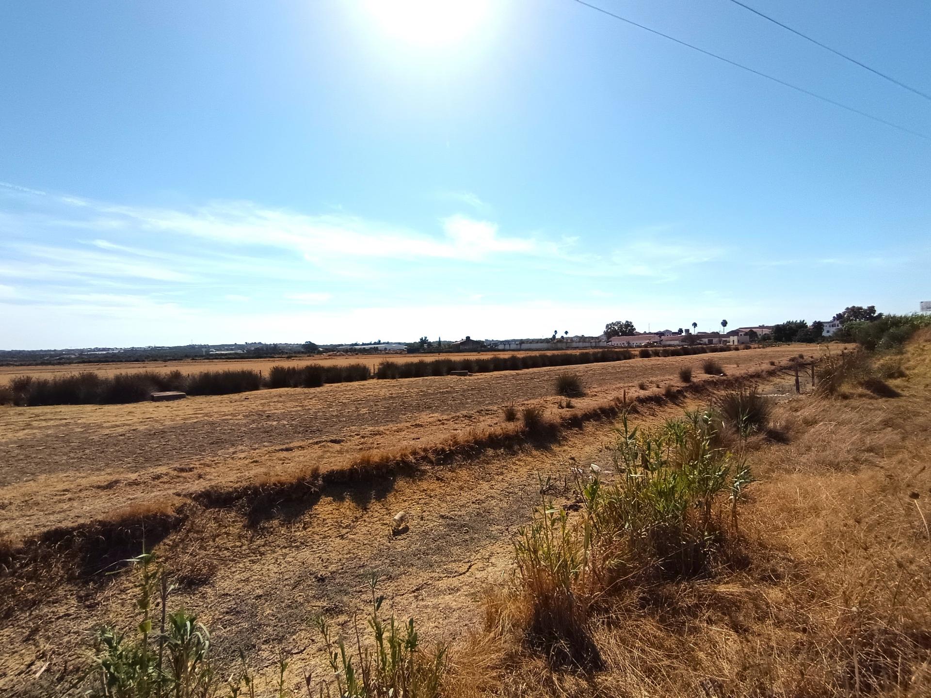 Lote Exclusivo em Lagoa - Oportunidade de Investimento no Algarve