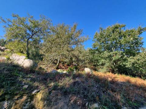 Moradia T3 de Luxo - Nova Construção, Chave na Mão!